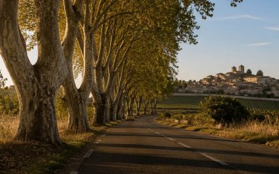 Must See Things While Traveling France